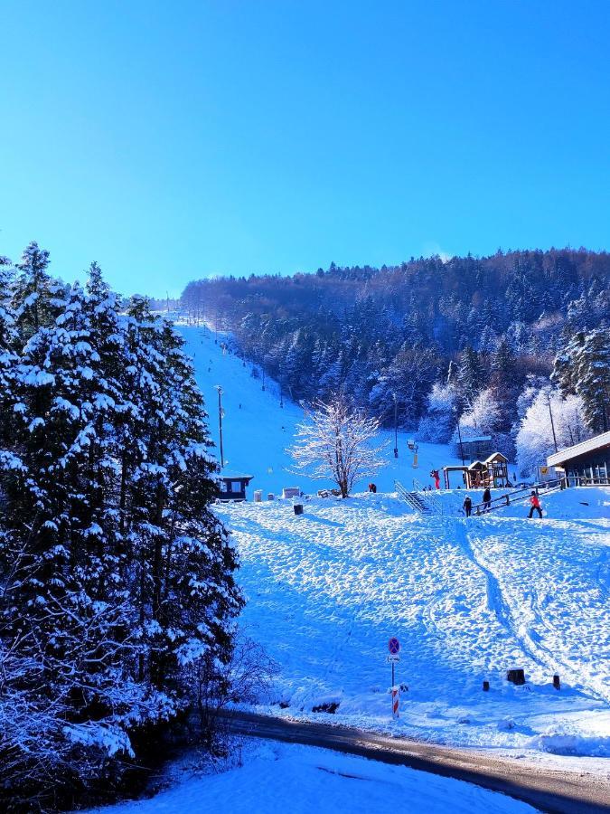Villa Mari I Maribor Luaran gambar